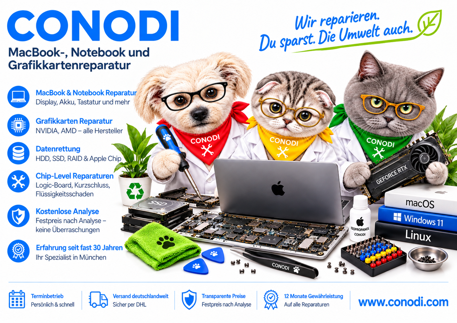 Conodi Kontakt Hauptbild