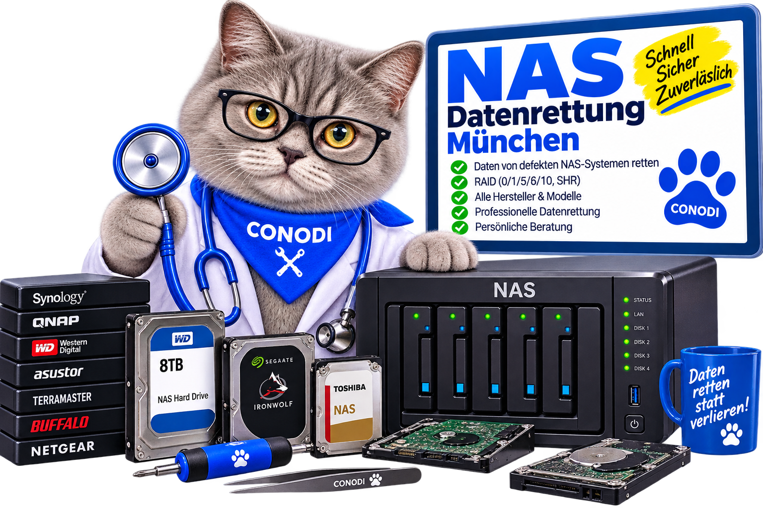 NAS Datenrettung München